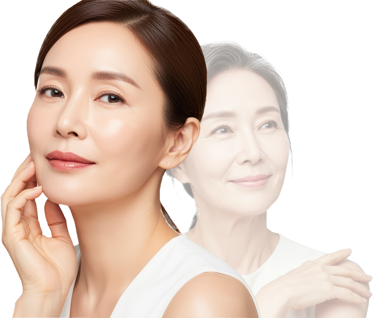 팔자리리핏 모델